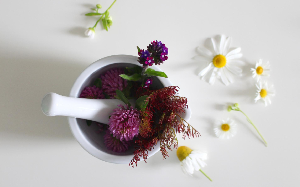 Misión (reemplazar)